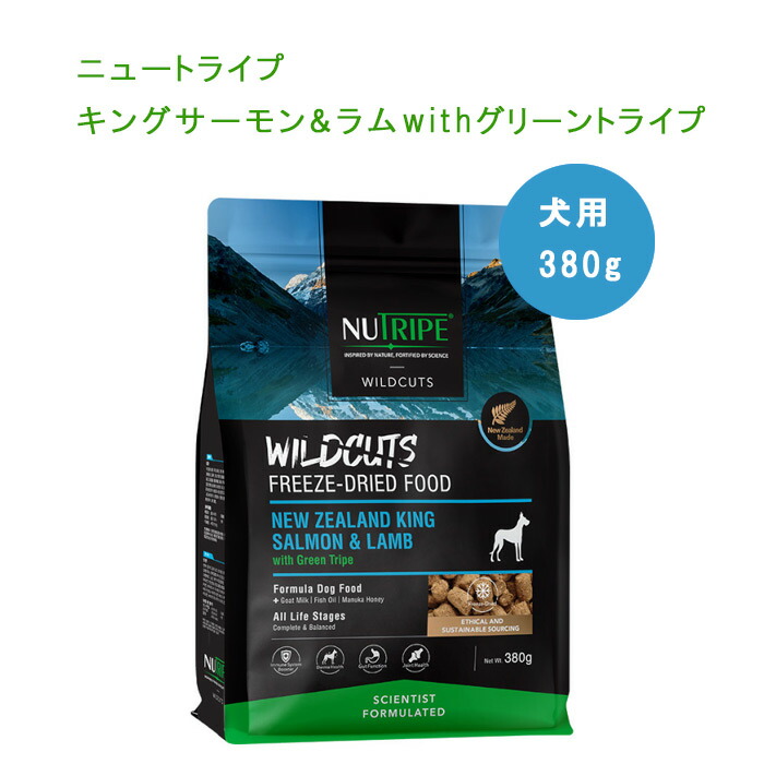 『ペタプラス』で人も愛犬も愛猫もまわり合わせな第四次元を過ごしてください♪