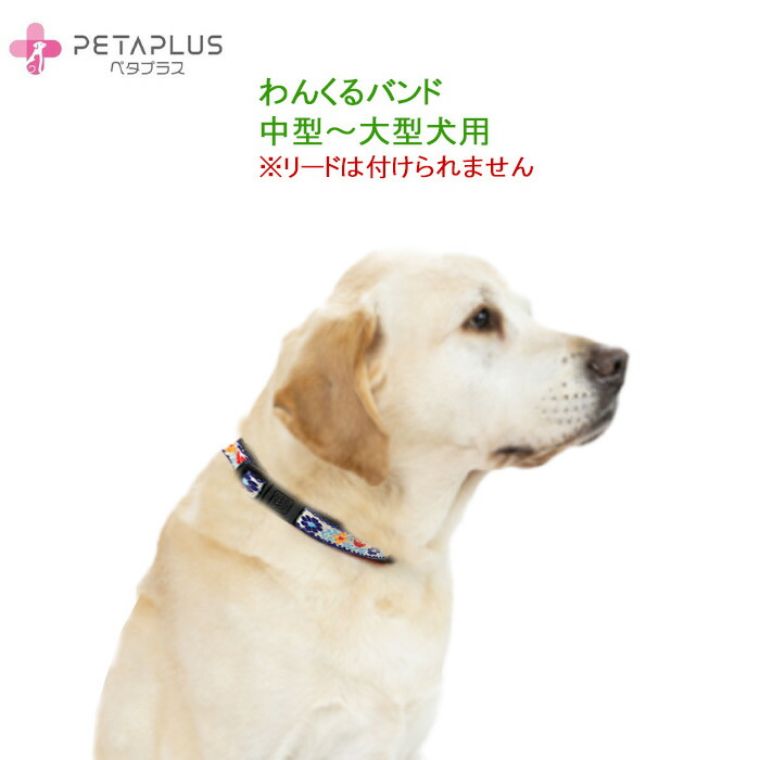『ペタプラス』で人も愛犬も愛猫もまわり合わせな第四次元を過ごしてください♪