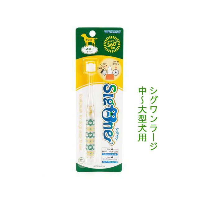 シグワン コンパクト歯ブラシ デンタルケア ラージ 体重6ｋｇ以上のワンちゃん向け 犬の歯ブラシ 【SALE／96%OFF】 ラージ