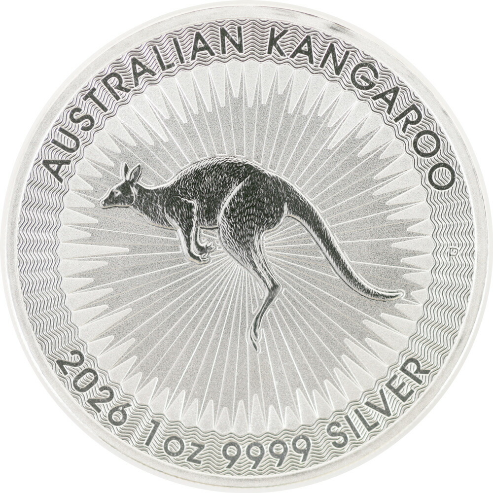 楽天市場】中国 パンダ純銀銀貨 1オンス 999silver 10元銀貨 2022年