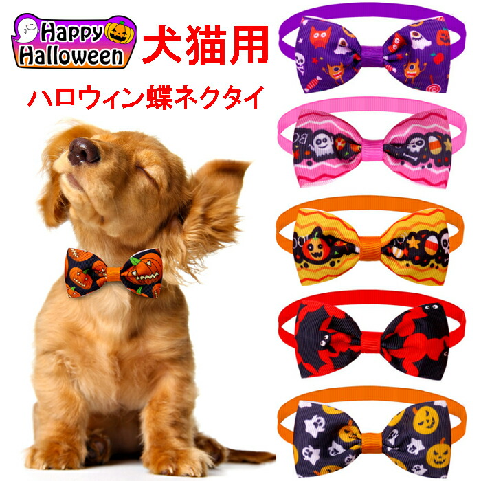 楽天市場】【メール便送料無料】ハロウィン 犬猫用スタイ