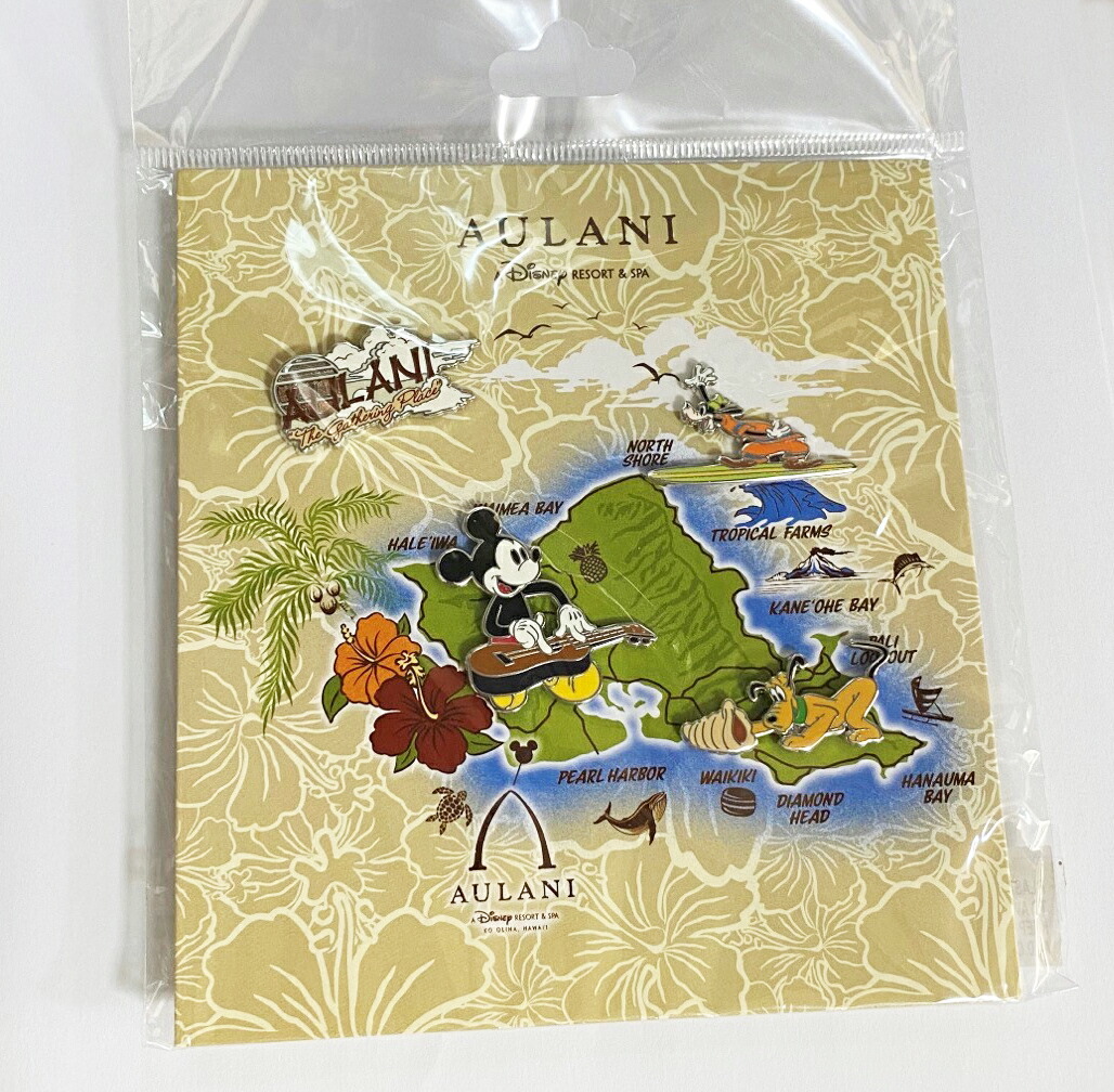 楽天市場】ディズニーアート 35.5cm×45.5cm ハワイアウラニ限定