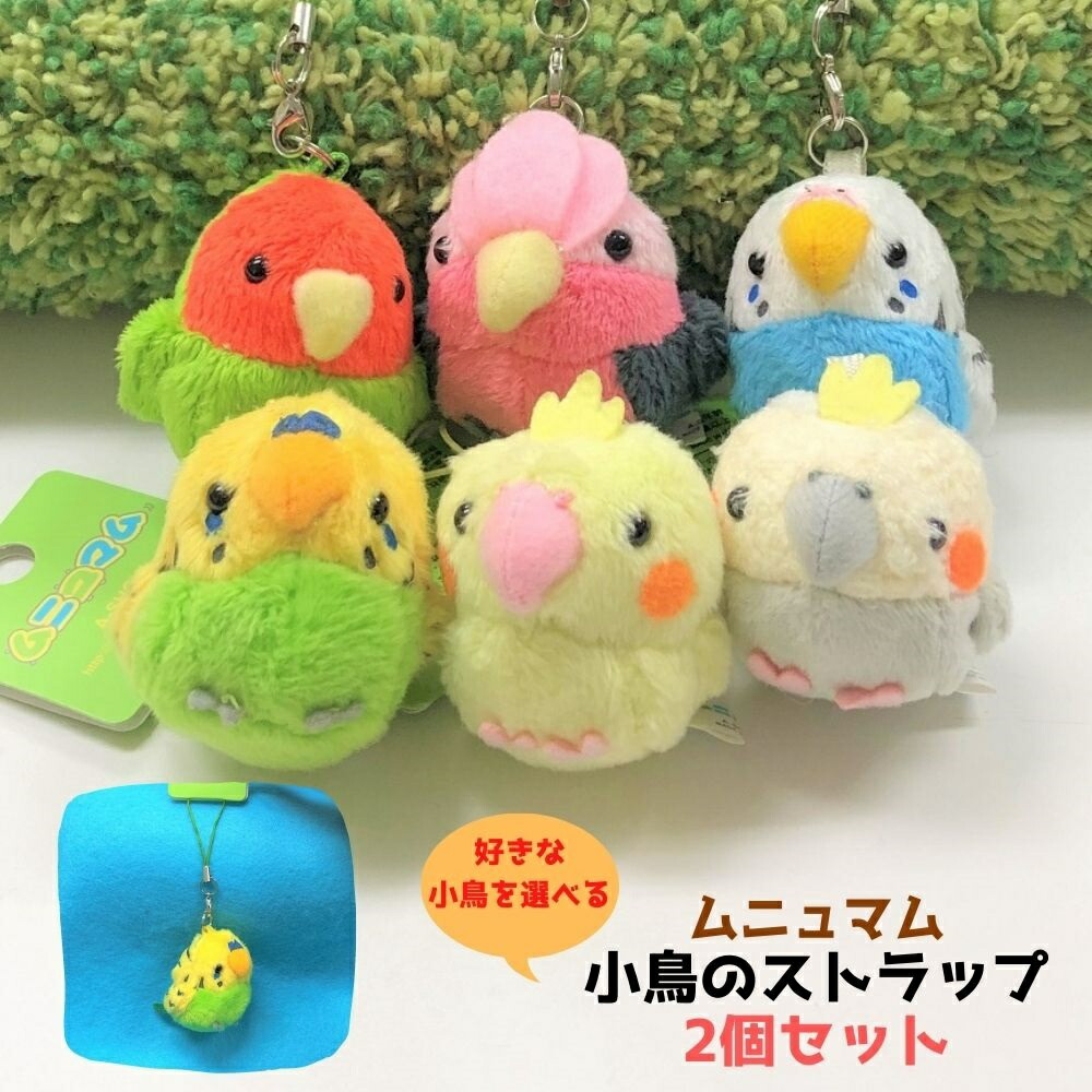 楽天市場】オカメインコ セキセイインコ ぬいぐるみ 抱き枕 クッション インコ 特大 大きい ふわふわ 枕プレゼント 誕生日 ギフト サプライズ  おうち時間 サイズが大きいのでラッピング不可商品です【送料無料】 : ぬいぐるみのオレンジネットワン