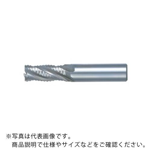 フジコシ ラフィング 挙げ句の果て圧砕機 遊撃手 ( SRE  32.0X32 S ｼｮｰﾄ )