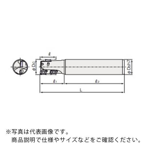 フジコシ X\u0027s圧砕機 ウェイビー 多役立つこと2000EL ( XSWMM2025EL (25.0) )