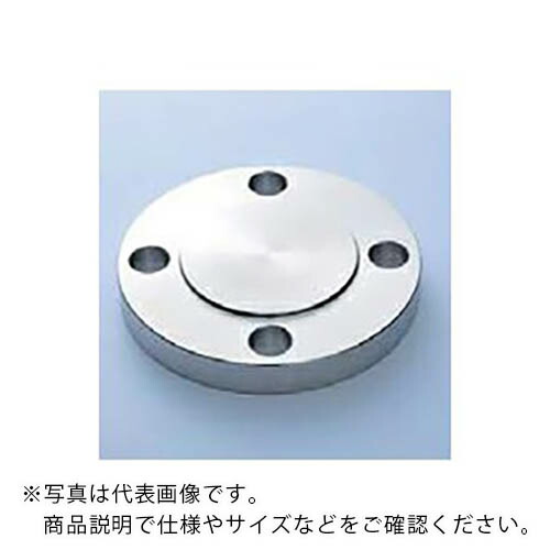 ステンレス鋼 SUS304 ブラインドフランジ BDRF 300LB 80A （3B）