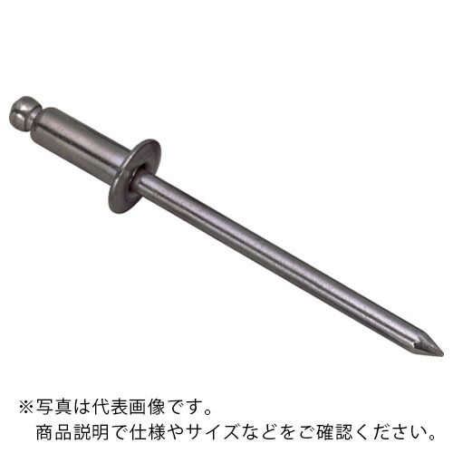 エビ ( ロブテックス ) ブラインドリベット(スティール/スティール製) 5-3(1000本入) 箱入 ( NS53 )