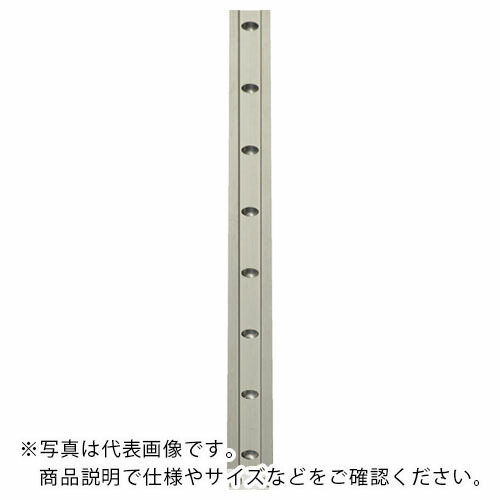 【SALE必要経費】igus ( イグス ) 素っ気ないリンTミニチュアガイドレール09型 ( TS-04-09-2000 ) イグス(株)