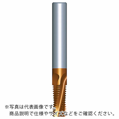 NOGA ( カーメックス ) 超硬ソリッドミルスレッドNSP ( 0808C14 18NPT MT-7 )
