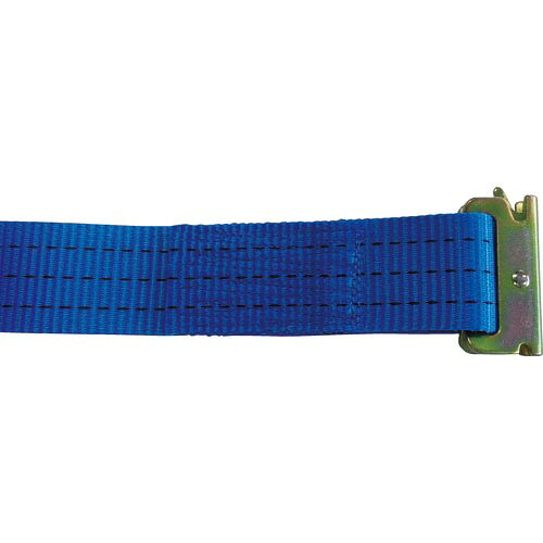 TESAC ( テザック ) ラッシングベルト(ベルト荷締機)ラチェットバックル式両端ワンピース付 ( R30KJB010-JB050A )