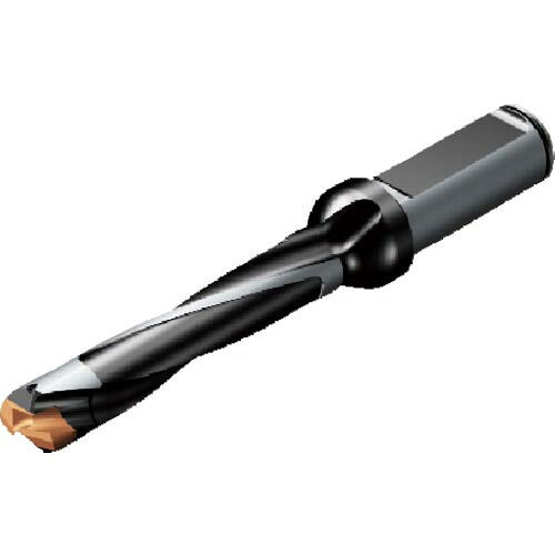 SANDVIK ( サンドビック ) コロドリル870 先端取り替えっこ式せん孔機(446) 刃径10.00粍 溝長54.07粍 全長117粍 シャンク径16粍 ( 870-1000-6L16-5 (446) )