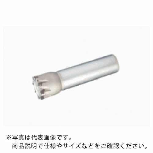 タンガロイ タング・クアッド 柄付きカッタ EPD05 ( EPD05R032M25.0W06 )