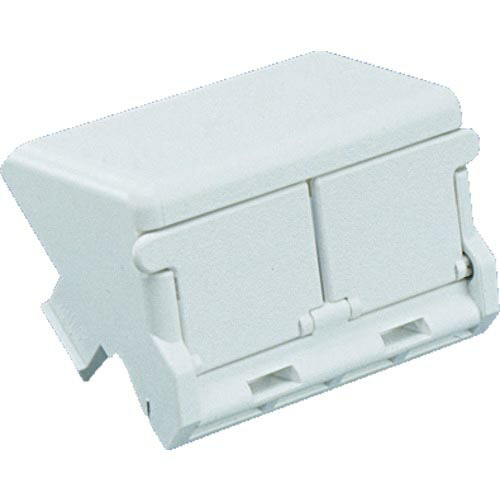 PANDUIT ( パンドウイット ) 1/2サイズ2ポート用傾斜型シャッター付きアダプタ枠(10個入) ( CHS2SIW-X )