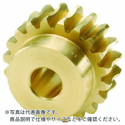 KHK ( 小原歯車工業 ) ウォームホイル ( BG2.5-20R2 )