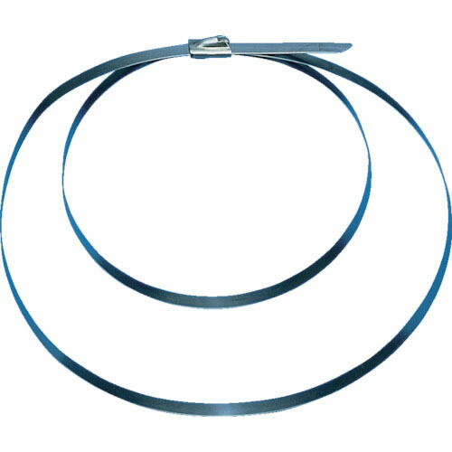 PANDUIT ( パンドウイット ) MLTタイプ 自動ロック式ステンレススチールバンド ダブルロックタイ SUS316 幅12.7mm 長さ749mm ( MLT4DEH15-Q316 ) 【4袋セット】