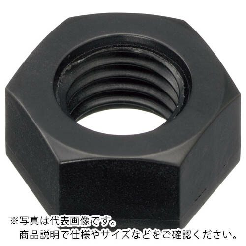 ケミカル螺子釘 六角中毒者 (1種・硝子衣料繊維強化因子ポリアミド RENY黒) M6 (500本入) ( RENY-BK/NT M6 ) 【製造業者取寄】