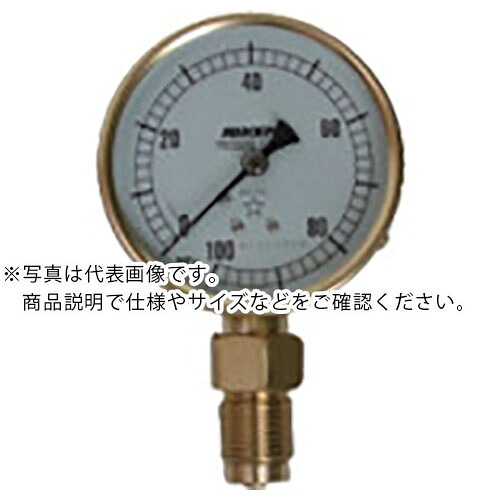 RIKEN ( 理研機器 ) 圧力計 ( AS100-100M ) 理研機器(株) 【メーカー取寄】