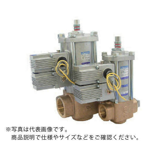 日本精器 2道のり円柱弁膜 25A AC100V ( BN-5CP21-25-E100 ) 【製造会社取寄】