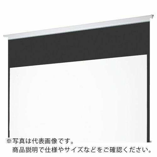 OS ( オーエス ) 120型 電動巻上式マスク有りスクリーン ( SEC-120VM-R1-WG103 ) (株)オーエス 【メーカー取寄】