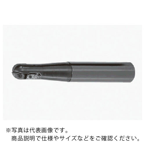 タンガロイ 中仕上げ加工用ボールエンドミル EBP ( EBP030MSE )