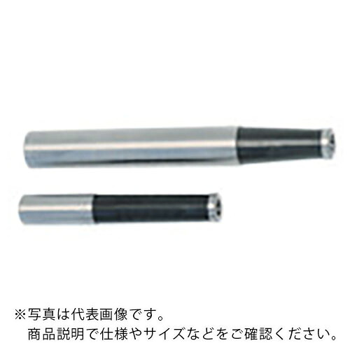 タンガロイ タングフレックス モジュラシャンク SM ( SM12-L200-C32 )