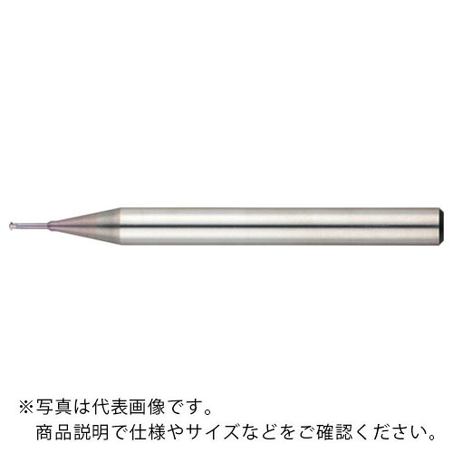 NS ( 日進物の具 ) CBNスーパースパイラルボールエンドミル ( SSPB220 R2X12 ) 【製造会社取寄】