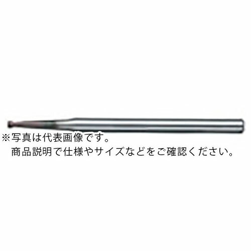 NS ( 日進工具 ) ラジアスエンドミル MSTNR230 Φ0.2XR0.05X1度X1 ( MSTNR230 0.2XR0.05X1X1 (08-00770-02211) ) 日進工具(株) 【メーカー取寄】