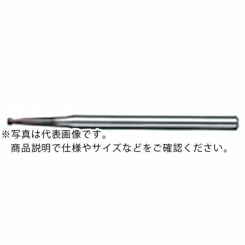 NS ( 日進手道具 ) ラジアスエンドミル MSTNR230 Φ2XR0.1X1度X40 ( MSTNR230 2XR0.1X1X40 (08-00770-20315) ) 【製造業者取寄】