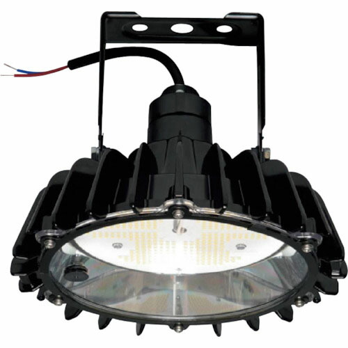 日立 高天井用LEDランプ アームタイプ 特殊環境 屋外形(塩害対応) ( RBME21CMNC1 ) 【メーカー取寄】