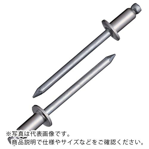 エビ ( ロブテックス ) ブラインドリベット(ステンレス/スティール製) 6-3(1000本入) 箱入 ( NSS63 )