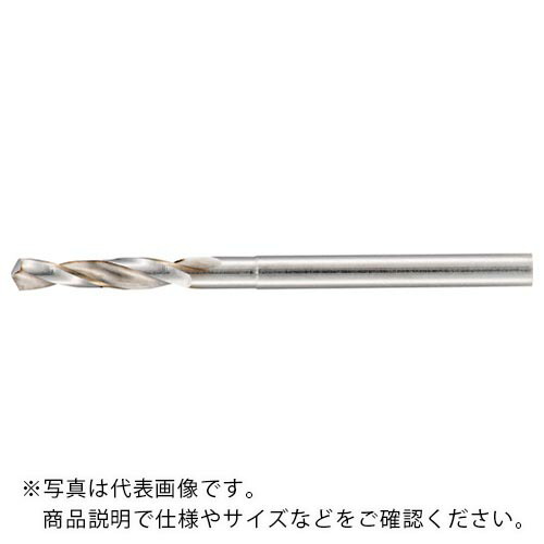 GUHRING ( グーリング ) マイクロドリル レギュラ 0.12mm ( 301 0.120 ) 【10本セット】 グーリングジャパン(株)