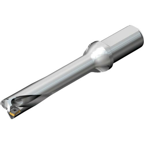 SANDVIK ( サンドビック ) コロドリルDS20刃先取り替えっこ式せん孔機(465) ( DS20-D2600L32-05 (465) )