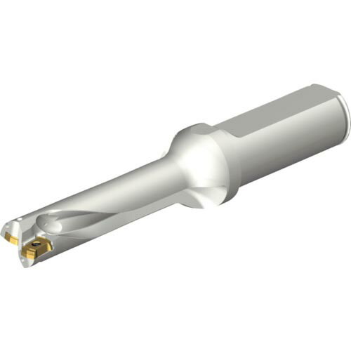 SANDVIK ( サンドビック ) コロドリルDS20刃先交換式ドリル(465) ( DS20-D1500L20-04 (465) ) 49,256円