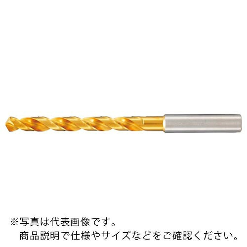 GUHRING ( グーリング ) ハイスドリル レギュラ TiNコート 17mm ( 511 17.000 ) グーリングジャパン(株)