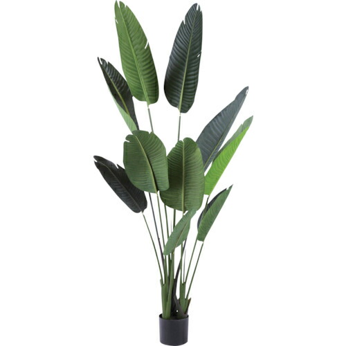 リレヤ ( 藤沢工業 ) 人工観葉植物 ストレリチア ( WD-07 ) 藤沢工業(株) 【メーカー取寄】