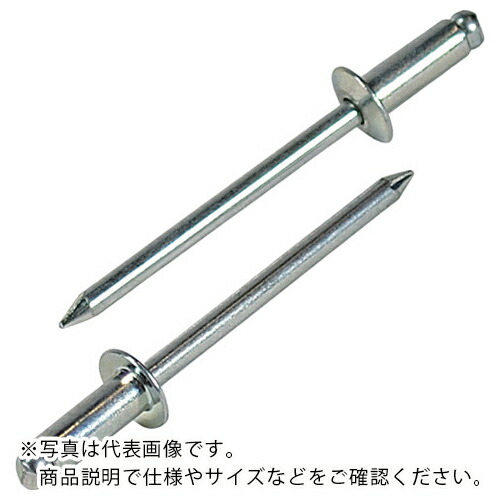 エビ ( ロブテックス ) ブラインドリベット(スティール/スティール製) 6-6(1000本入) 箱入 ( NS66 ) 7,211円