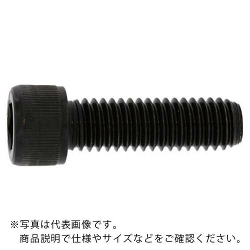 SUNCO ( サンコーインダストリー ) ステンCAP(UNC11ヤマ5/8X4”1/2(1本入) ( A0-02-0030-8050-8440-00-1 ) サンコーインダストリー(株) 【メーカー取寄】 14,579円