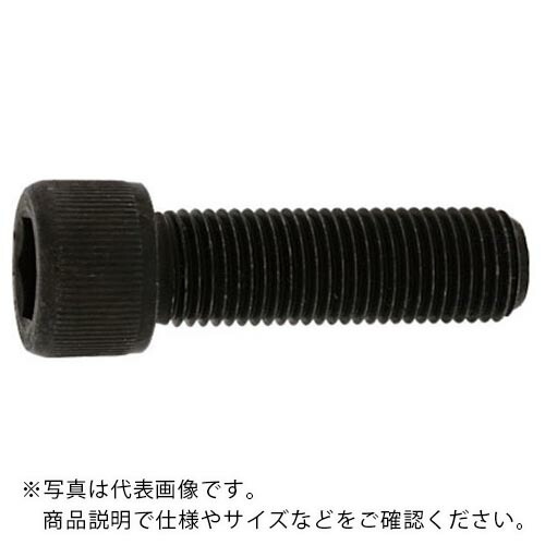 SUNCO ( サンコーインダストリー ) CAP(UNF1/2-20×6(1本入) ( A0-00-0040-8040-8600-00-1 ) サンコーインダストリー(株) 【メーカー取寄】
