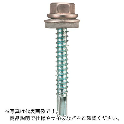 WAKAI ( 若井産業 ) ダンバ ステンキャップ 6X105 ( 69610CZ ) 若井産業(株) 【メーカー取寄】