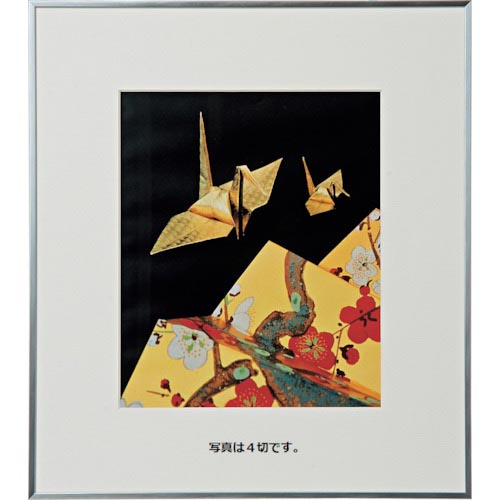 Kenko ( ケンコー・トキナー ) 1250107 アルミ額縁 画廊 A4SV ( AGR-A4-SV ) 【メーカー取寄】
