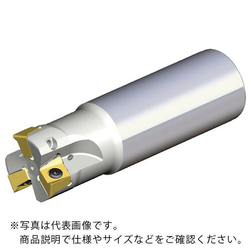 TAEGUTEC ( NTKカッティングツールズ ) ミーリングカッター チェイス4ミル ( 4N TE90-225-25-11-L200 )