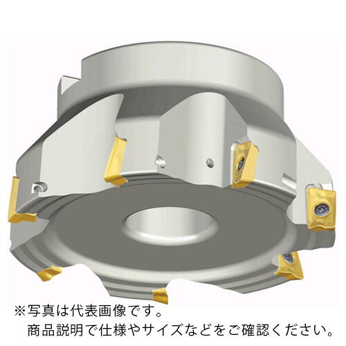 TAEGUTEC ( NTKカッティングツールズ ) ミーリングカッター チェイスミル ( TFM90AP 440-16R-17 )