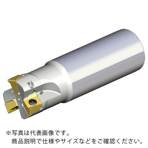 TAEGUTEC ( NTKカッティングツールズ ) ミーリングカッター チェイス4ミル ( 4N TE90-440-W32-11 )