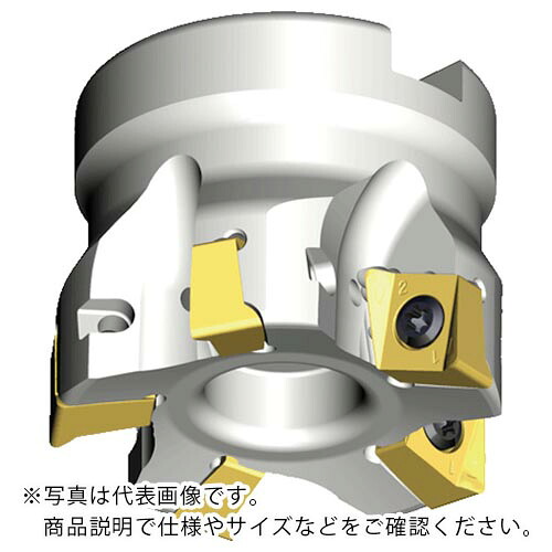 TAEGUTEC ( NTKカッティングツールズ ) ミーリングカッター チェイス4ミル ( 4N TF90-550-22R-11 )