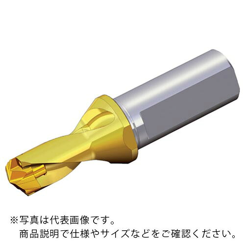 TAEGUTEC ( NTKカッティングツールズ ) 刃先交換式ドリルホルダー ドリルラッシュ ( TCD 220-229-25T2-1.5D )