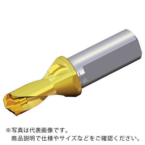 TAEGUTEC ( NTKカッティングツールズ ) 刃先交換式ドリルホルダー ドリルラッシュ ( TCD 140-149-16T3-1.5D )