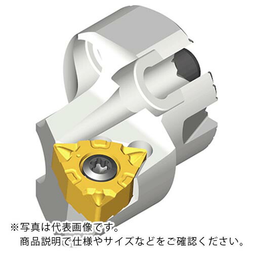 TAEGUTEC ( NTKカッティングツールズ ) ボーリングバー取り替えっこ式頭顱 ハシーシボア ( QH16-SWLNR-0403 ) DIY・工具-花・ガーデン・DIY