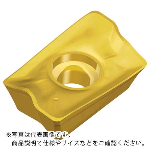 TAEGUTEC ( NTKカッティングツールズ ) ミーリング加工用チップ チェイスミル ( APKT 170530R-EM TT8020 ) 【10個セット】