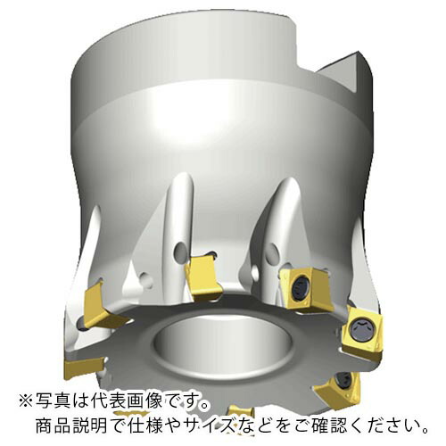 TAEGUTEC ( NTKカッティングツールズ ) ミーリング截断機 チェイス4圧砕機 ( 4N TF90-832-16R-04 )