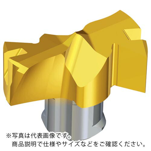 TAEGUTEC ( NTKカッティングツールズ ) 刃先取り替えっこ式せん孔機用上端 せん孔機混雑時 ( TCD-255-F TT9080 )